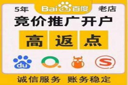 某知名品牌SEM运营策略及效果评估